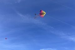 IMG_5604